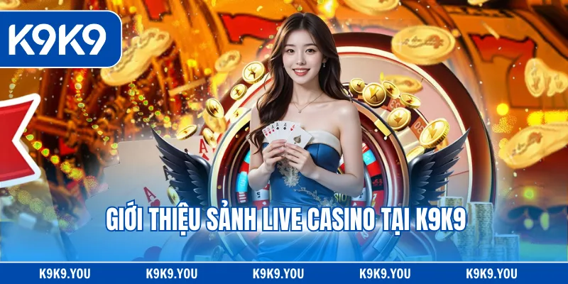 Giới thiệu sảnh Live Casino tại K9K9
